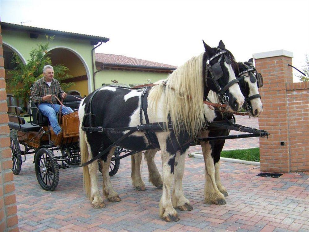 Agriturismo Nonna Rina San Liberale Exteriér fotografie