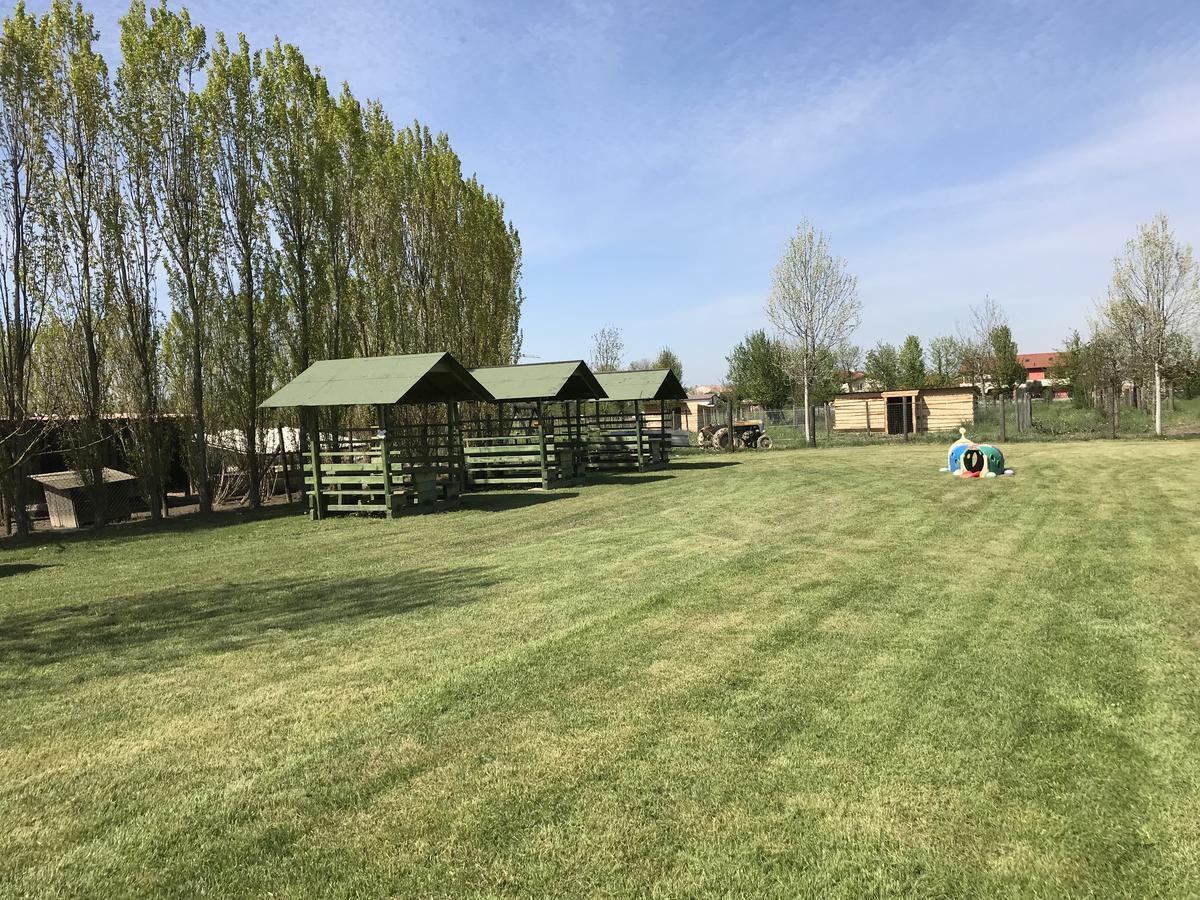 Agriturismo Nonna Rina San Liberale Exteriér fotografie