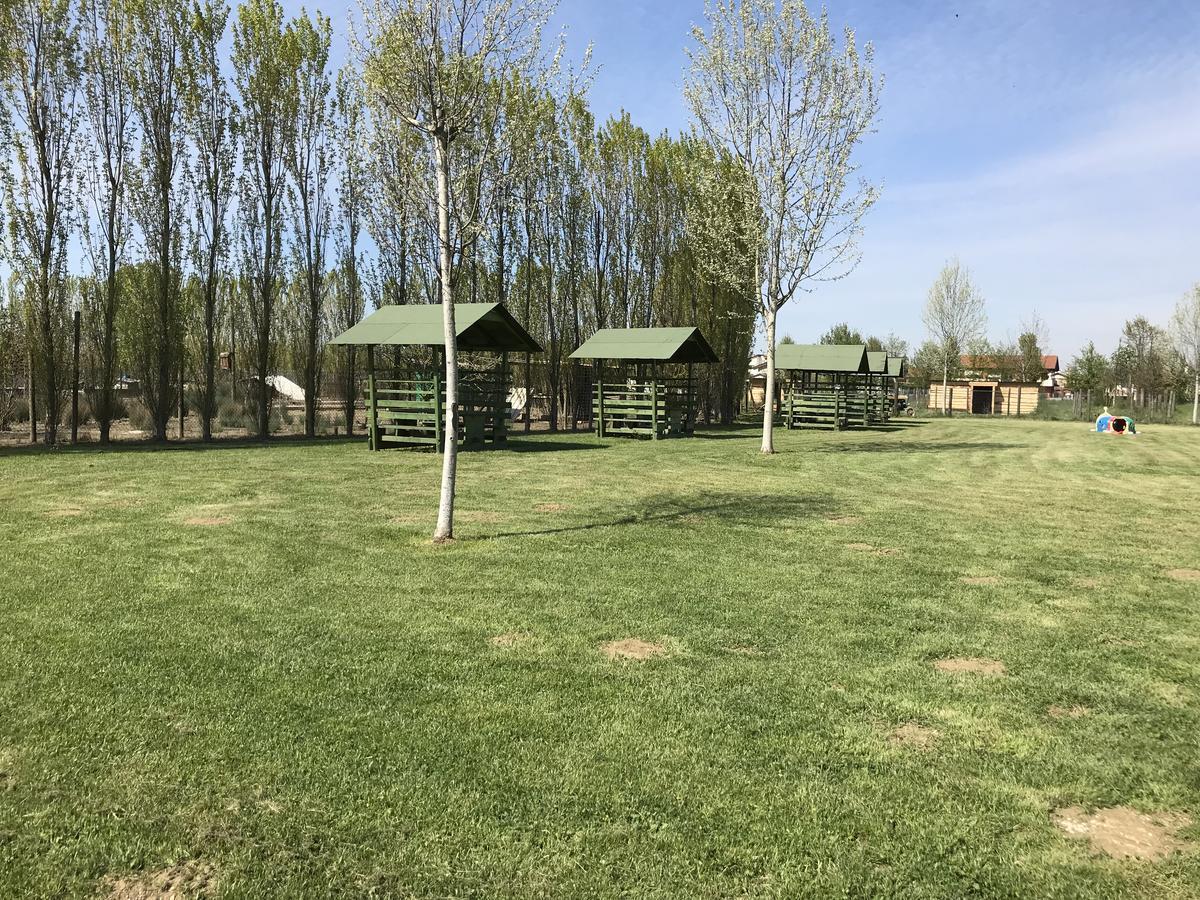 Agriturismo Nonna Rina San Liberale Exteriér fotografie